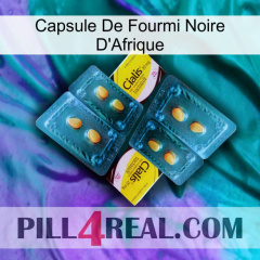 Africa Black Ant Capsule cialis5